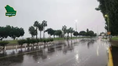 وهطول أمطار رعدية غزيرة على مناطق متفرقة من المملكة العربية السعودية وتحذيرات الأرصاد