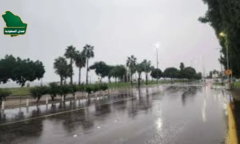 وهطول أمطار رعدية غزيرة على مناطق متفرقة من المملكة العربية السعودية وتحذيرات الأرصاد