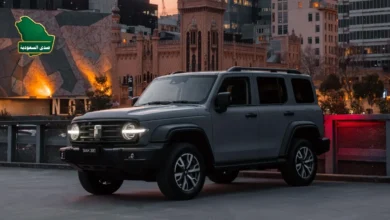 سيارة تانك 300 افضل سيارة صينية للطرق الوعرة تقف بثبات على كثبان رملية في صحراء المملكة العربية السعودية