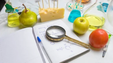 طرق طبيعية لزيادة الدوبامين من خلال التغذية