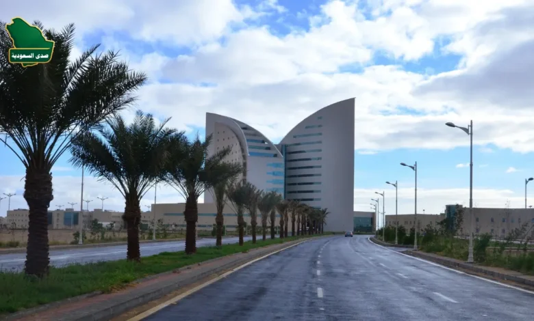 فرصة أكاديمية بنجران: التقديم على وظائف جامعة نجران ينطلق عبر منصة قدرات